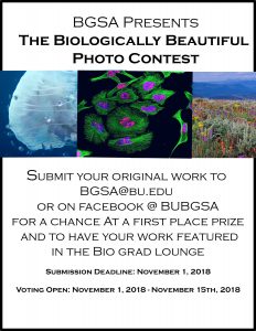 BGSA PhotoContest Poster 2018
