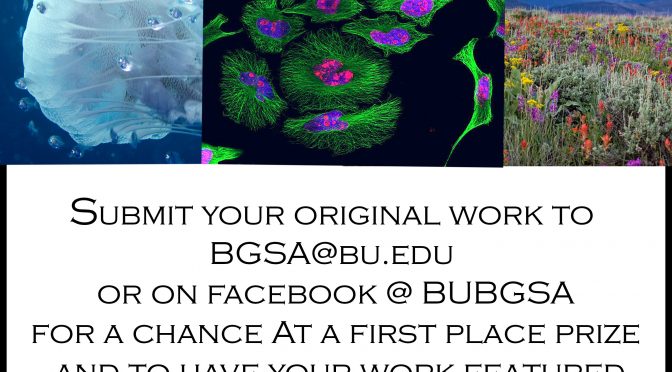 BGSA’s Photo Contest Voting is Open!
