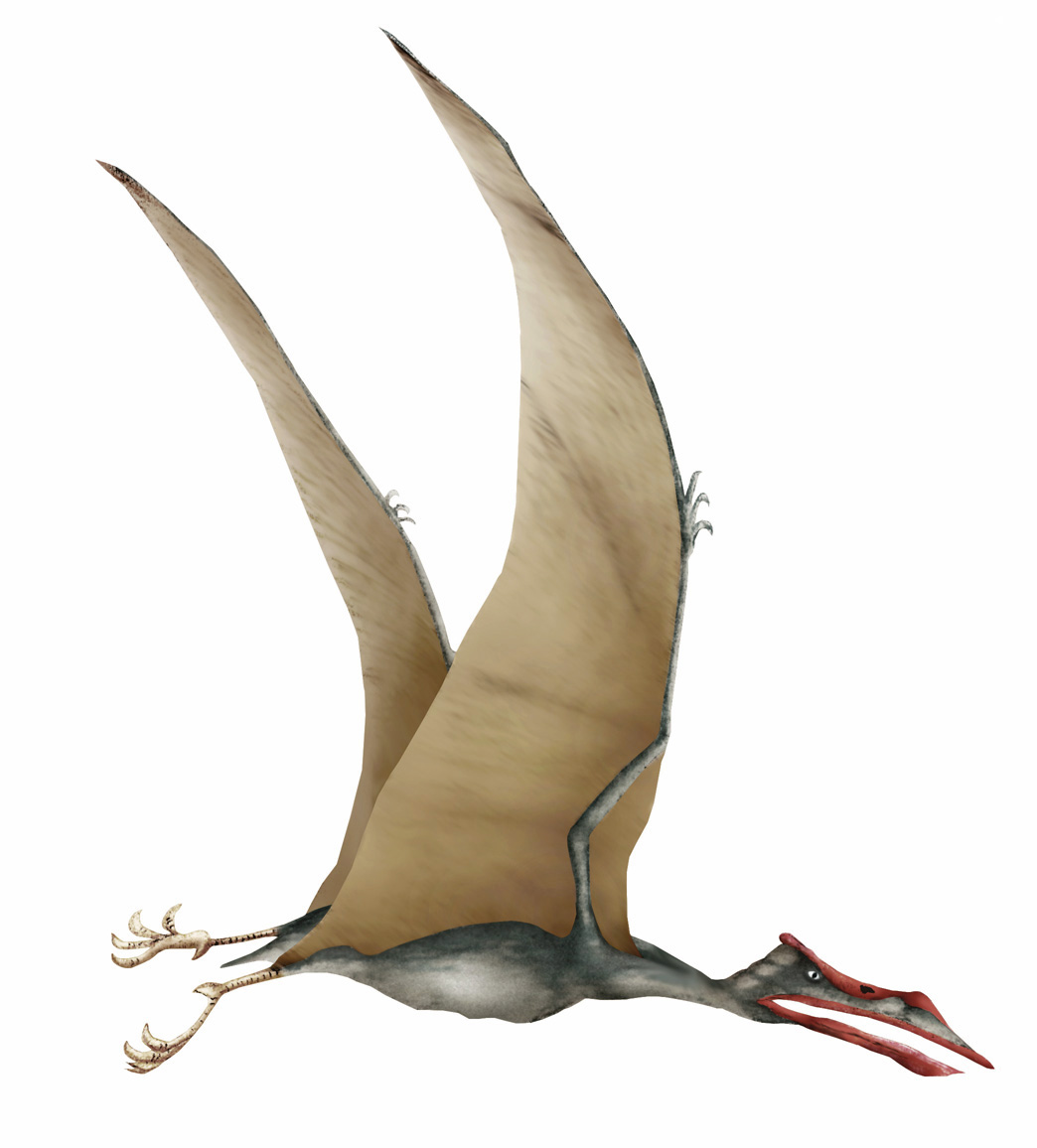 Artist's representation of Quetzalcoatlus