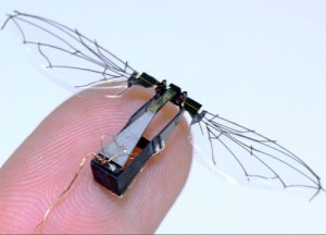 Harvard's Robotic Fly