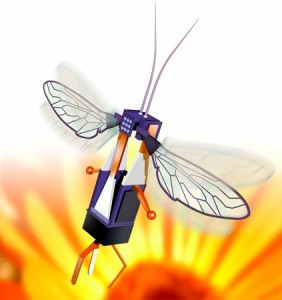 Robotic Bee Design