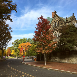 Fall colors outside the Castle, October 2016.  Photo by Kassandra Round.