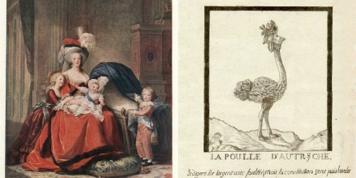 Did Marie Antoinette Give Birth in Public?