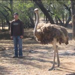 1 - Ben with Ostrich