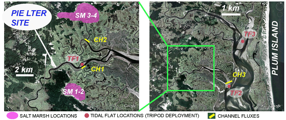 Study site and location of field work activities. Two first-order tidal channels and marsh platform areas (SM 1, 2) have been nutrient enriched and 2 similar areas are used as control sites (SM 3, 4).  Two new sites are proposed for nutrient enrichment starting in 2009 (not shown on map).  CH1, CH2, CH3 are the three channel cross section that we propose to instrument to quantify the biogeochemical fluxes between marshes and tidal flats (CH1 drains SM1-2 while CH2 drains SM3-4). TF1, TF2 and TF3 are the locations at which the tidal flat substrate experiments will be conducted (with tripod deployment). They represent three typical tidal flat environments (interchannel flat, deep flat, and shallow flat)