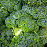 BroccoliFlickrCaroLines40