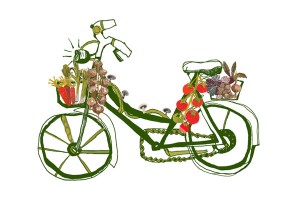 vegetable-bike-web