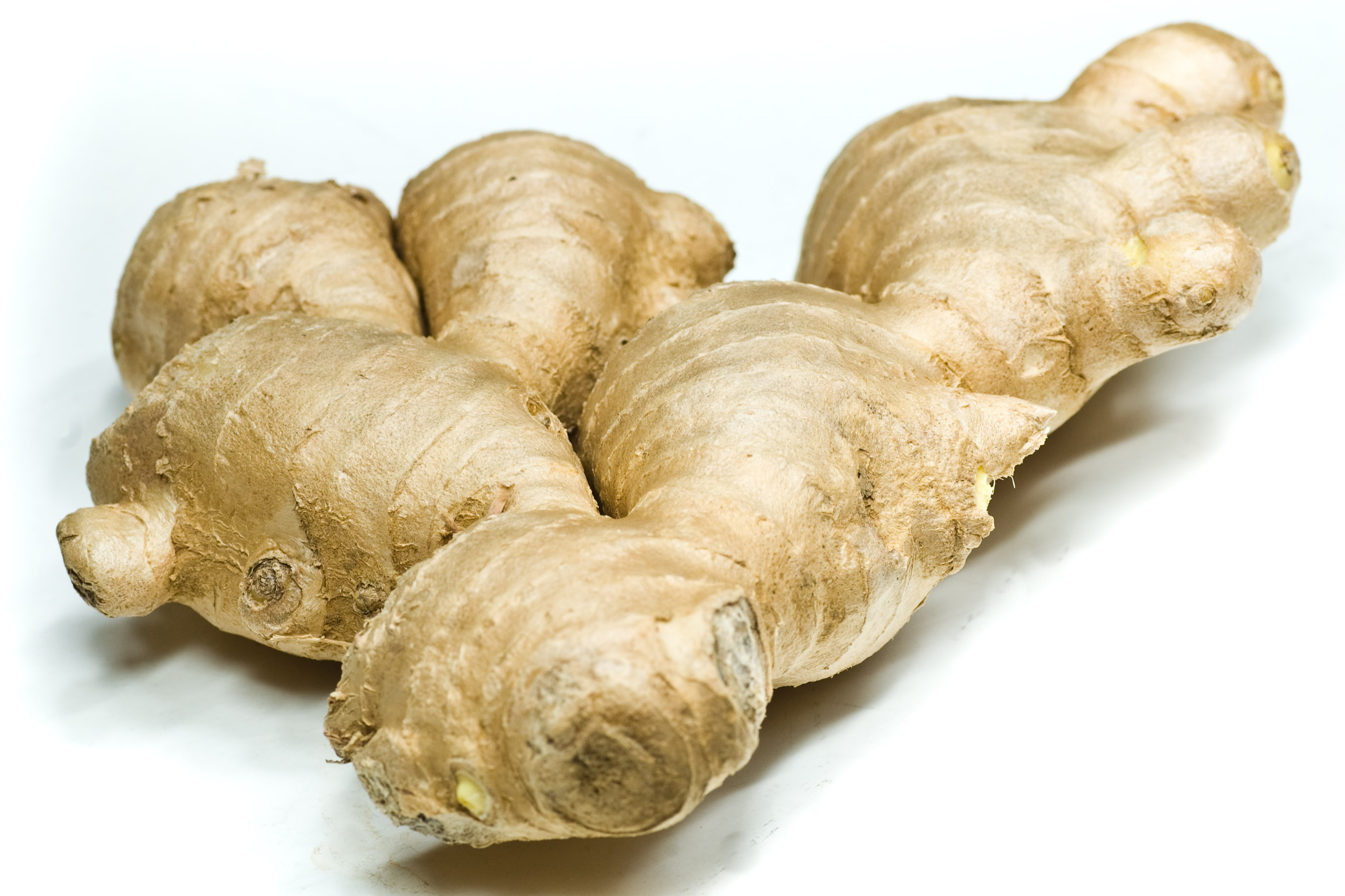 Dried Ginger English Meaning