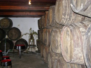 Verdelho wines aging in barrels