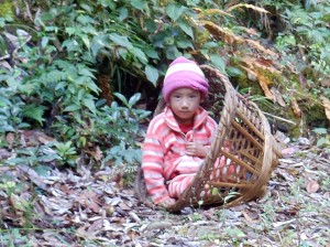 child in basket