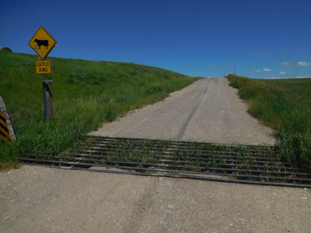 A cattle grid or cattle guard