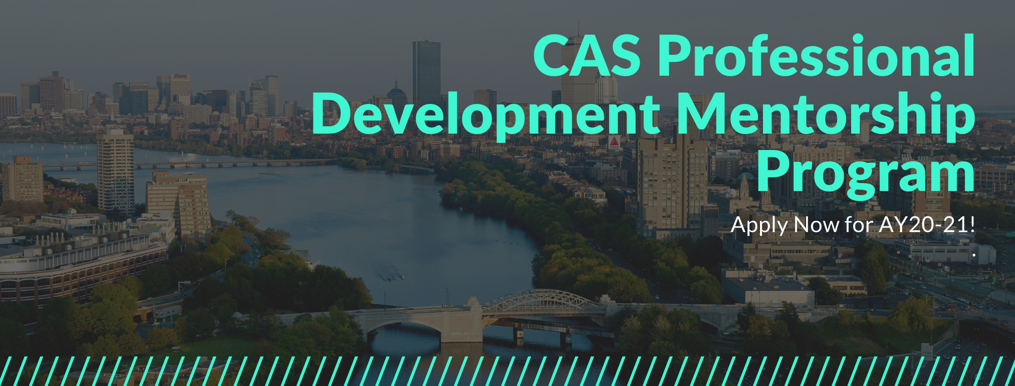 CAS Professional Development Mentorship Program_AY20-21