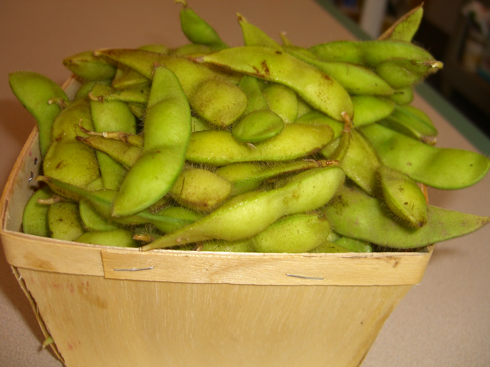 CSA Week 15 Keep Your Snacking Fresh Sargent Choice Blog