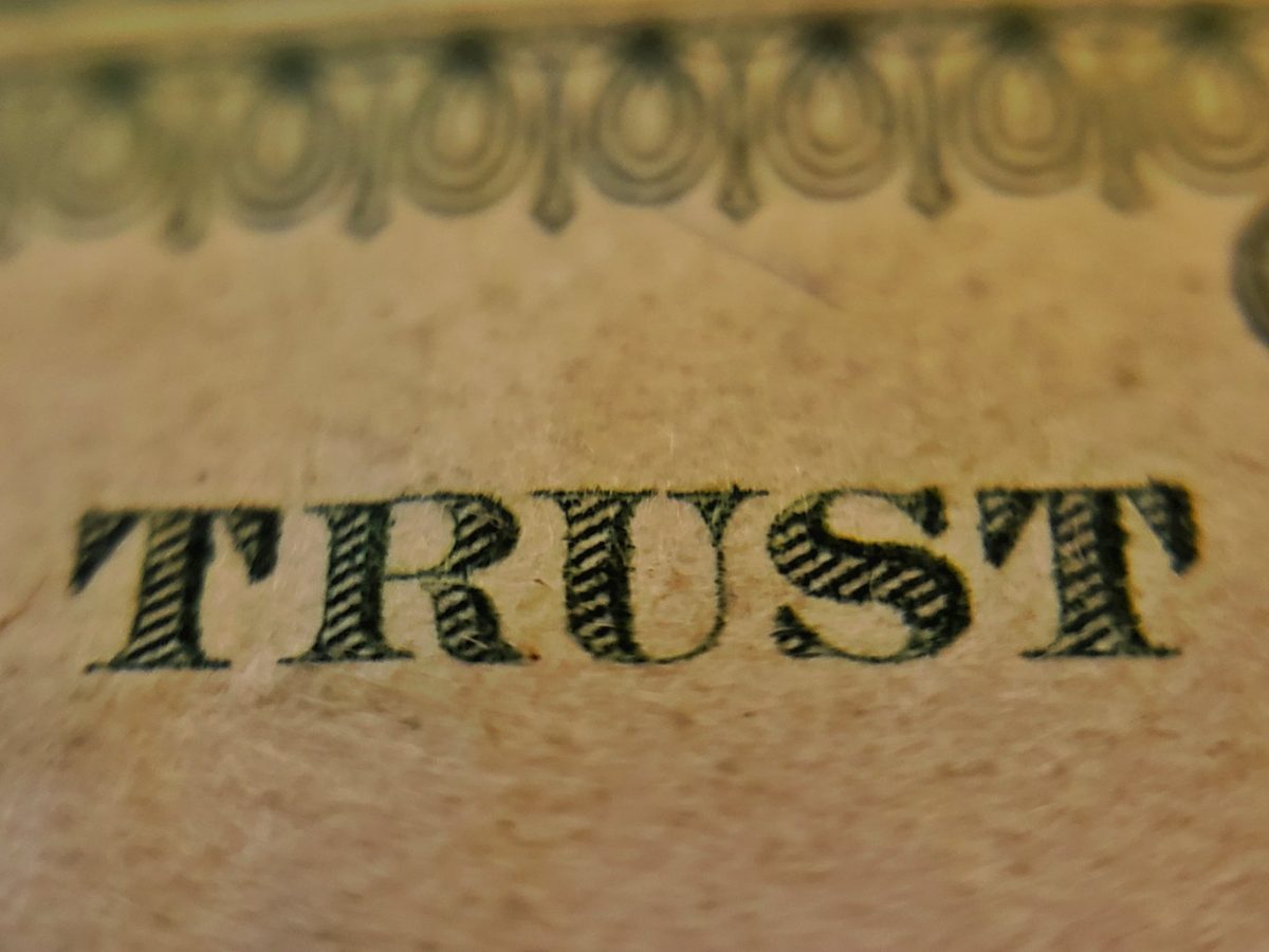 Trust and Trustless Systems