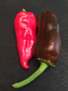 Peppers081716