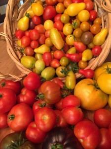 Tomatoes4081516