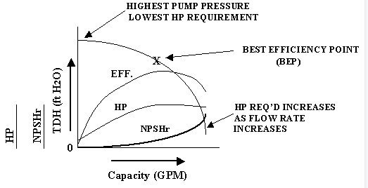 Which pump has maximum efficiency