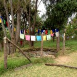 prayer flags outside of chimi lhakhang