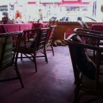 dogs are allowed everywhere in thailand.  even in restaurants. 