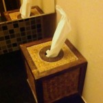 i'm not sure why, but tissue boxes such as this one were filled with toilet paper rather than tissues. 