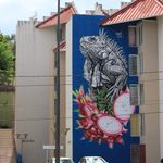 A Martinique mural (Photo by Kevin Hauger, Poetry '26)