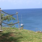 The coast of Martinique (Photo by Kevin Hauger, Poetry '26)