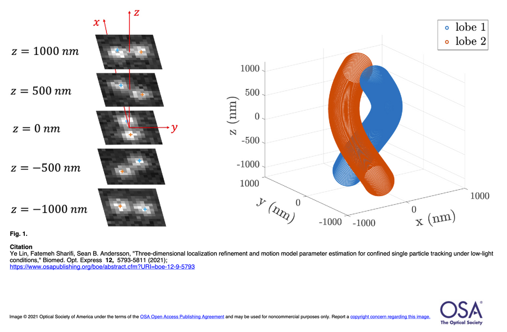 Research Article in Biomedical Optics Express Ye Lin (Clara)
