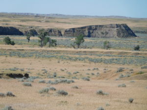 Even more views of Eastern Montana