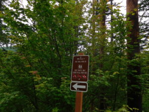 The Twin Falls Trail does not allow bike riding, but I assumed carrying was okay