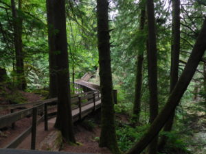The Twin Falls Trail has bridges