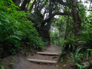 The Twin Falls Trail has stairs