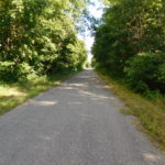 View of the bike trail