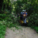 There were fallen trees on the trail